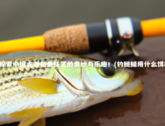 钓鲢鳙探索中国古老钓鱼技艺的奥妙与乐趣！(钓鲢鳙用什么饵料最好)