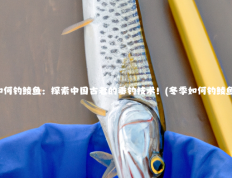如何钓鲮鱼：探索中国古老的垂钓技术！(冬季如何钓鲮鱼)