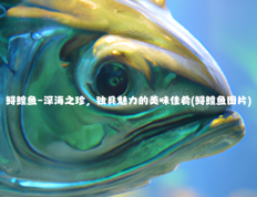 鲟鳇鱼–深海之珍，独具魅力的美味佳肴(鲟鳇鱼图片)