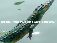 巨型塘鲺：神秘而令人着迷的长江巨兽(巨型塘鲺吃人)