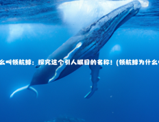 领航鲸为什么叫领航鲸：探究这个引人瞩目的名称！(领航鲸为什么叫领航鲸呢)