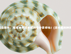 淡水螺的种类及图片：发现神奇淡水螺的奇妙多样性！(淡水螺的种类及图片大全)