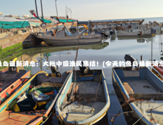 今天钓鱼岛最新消息：大批中国渔民集结！(今天钓鱼岛最新消息是什么)