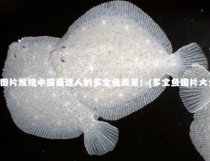 多宝鱼图片发现中国最迷人的多宝鱼美景！(多宝鱼图片大全大图)