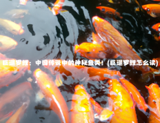巨暹罗鲤：中国传说中的神秘鱼类！(巨暹罗鲤怎么读)