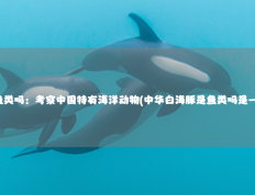 中华白海豚是鱼类吗：考察中国特有海洋动物(中华白海豚是鱼类吗是一级保护动物吗)