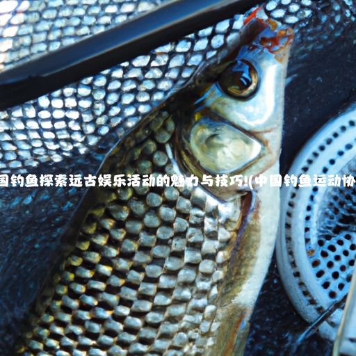 中国钓鱼探索远古娱乐活动的魅力与技巧!(中国钓鱼运动协会)