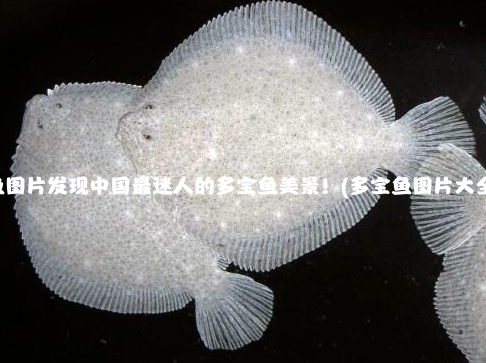 多宝鱼图片发现中国最迷人的多宝鱼美景！(多宝鱼图片大全大图)