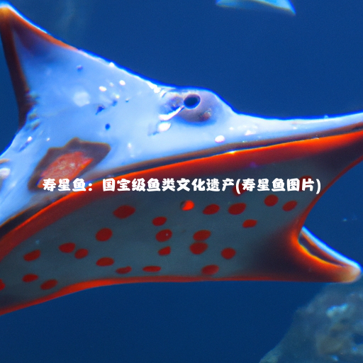 寿星鱼：国宝级鱼类文化遗产(寿星鱼图片)