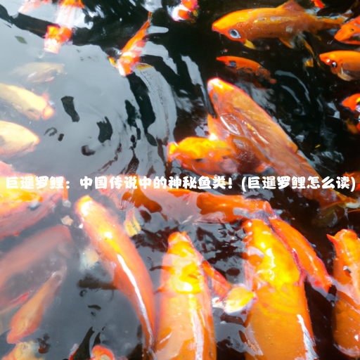 巨暹罗鲤：中国传说中的神秘鱼类！(巨暹罗鲤怎么读)