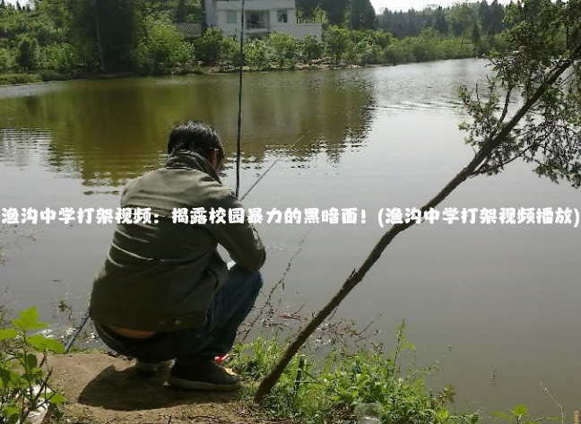 渔沟中学打架视频：揭露校园暴力的黑暗面！(渔沟中学打架视频播放)