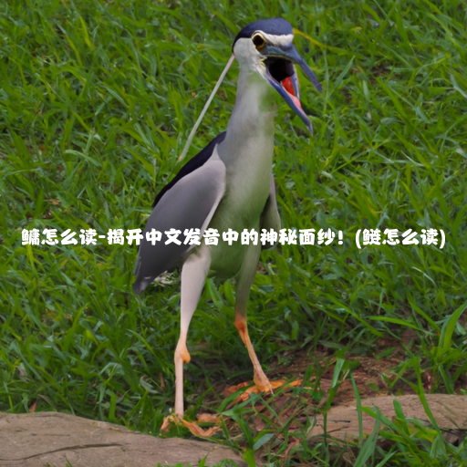 鳙怎么读-揭开中文发音中的神秘面纱！(鲢怎么读)